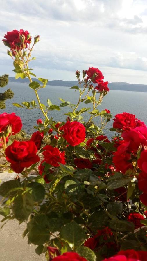 View On Th Sea Pisak Apartment Exterior photo